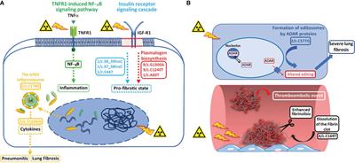 Biological Pathways Associated With the Development of Pulmonary Toxicities in Mesothelioma Patients Treated With Radical Hemithoracic Radiation Therapy: A Preliminary Study